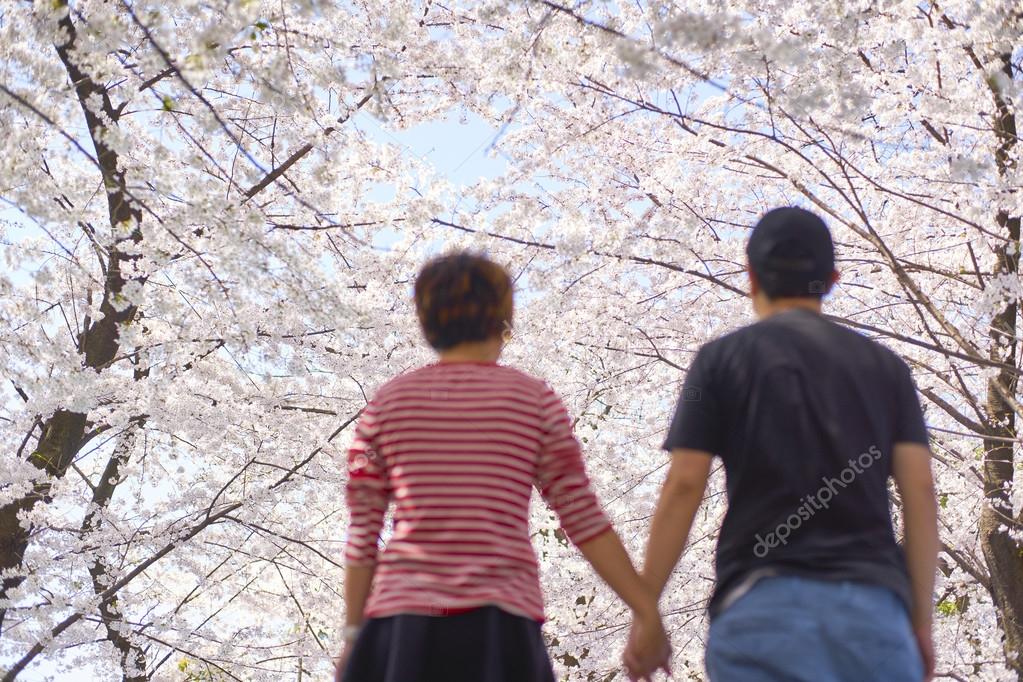 Couple holding hands under cherry blossom