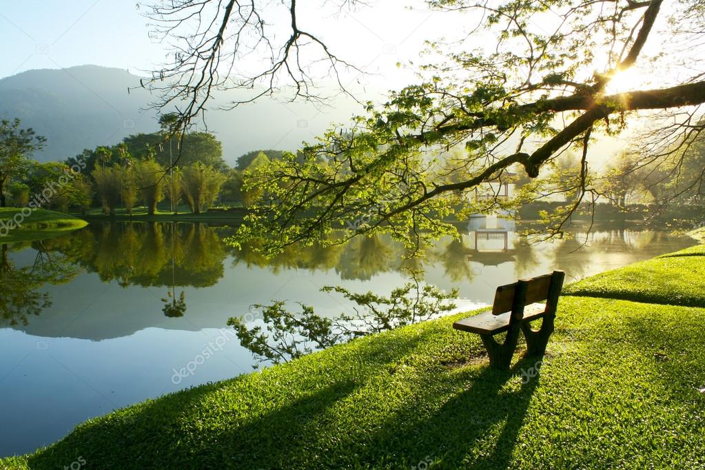 Wooden bench by lake