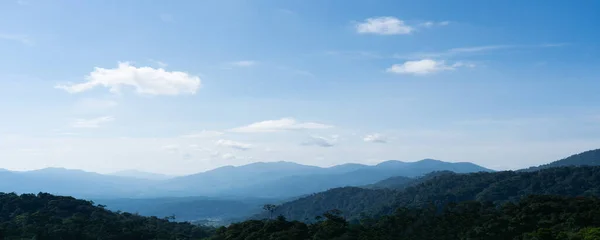 Panorama View Forest Mountain Landscape Early Morning Scene — Stock Photo, Image