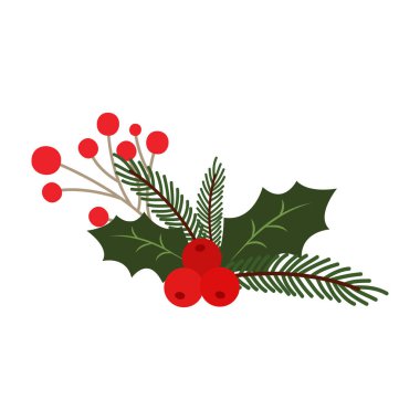 Christmas holly and pine branch decorations with red berries on white background.