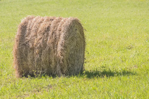 Cicular dry haystack — Stock Photo, Image