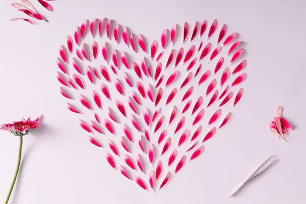 Heart symbol made of pink flower petals — Stock Photo, Image