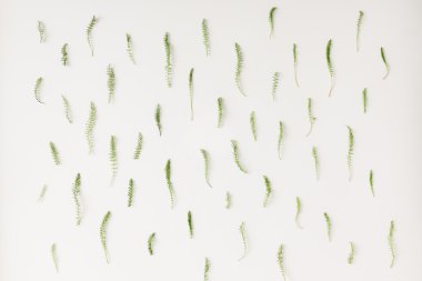 Doğal desen. Düz yatıyordu.