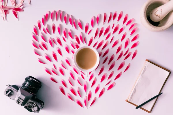 Heart symbol made of pink flower petals with vintage camera and — Stock Photo, Image