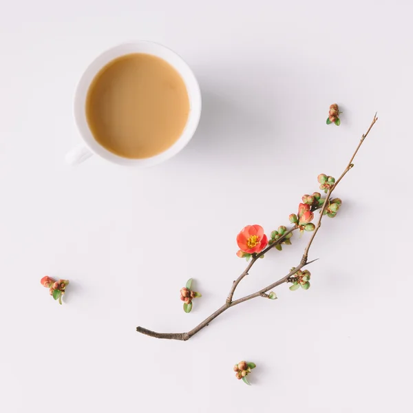 Spring morning coffee. Flat lay. — Stock Photo, Image