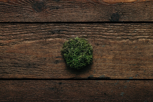 Moss in shape of a circle