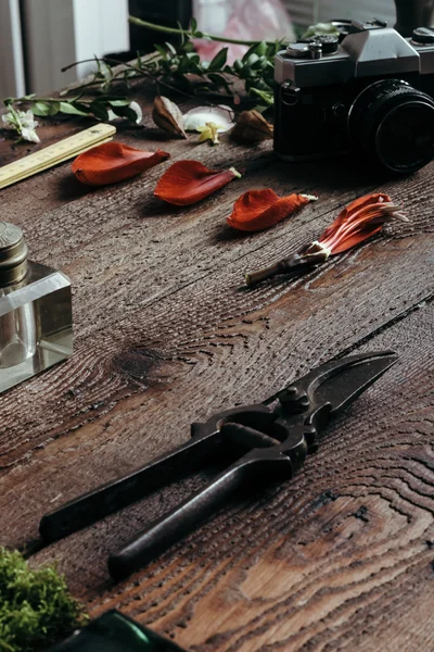 Ingredientes naturais na mesa de madeira velha — Fotografia de Stock