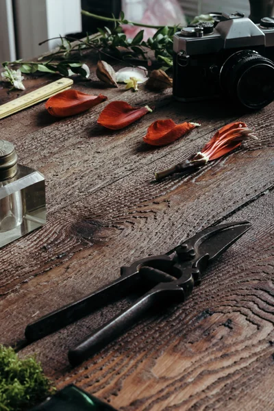 Natural ingredients on old wooden desk — Stock Photo, Image