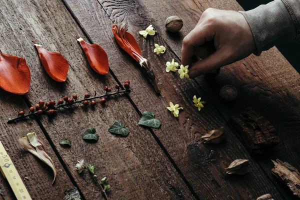 Homme arrangeant des fleurs — Photo