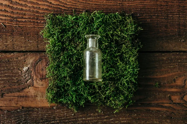 Small glass bottle on square moss — Stock Photo, Image