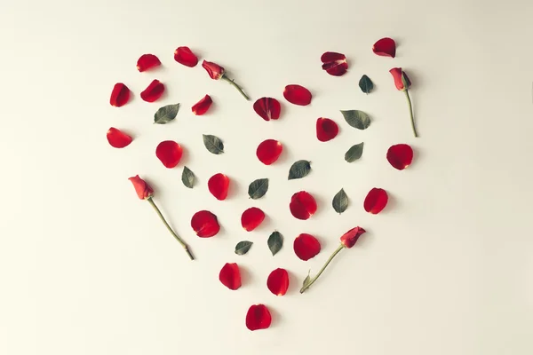 Пелюстка червоної троянди, листя і квіти у формі серця - Love conce — стокове фото