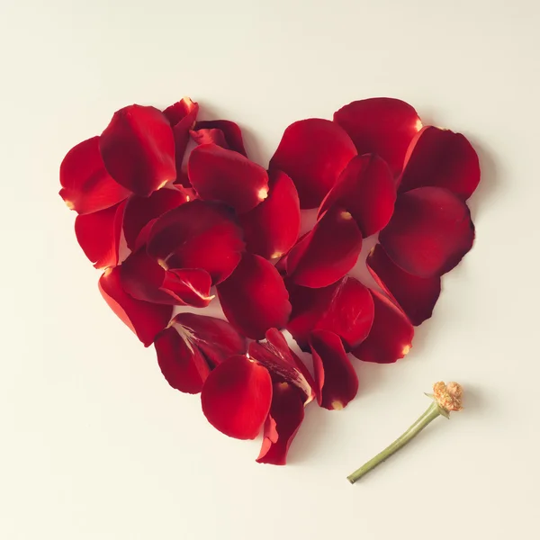 Red rose petals in a heart shape - Love concept — Stock Photo, Image