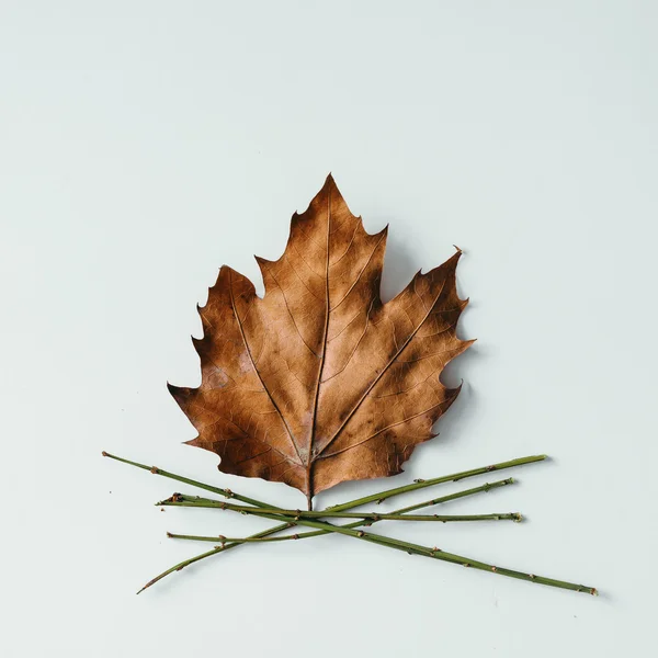 Maple leaf and twigs in shape of camp fire — Stock Photo, Image