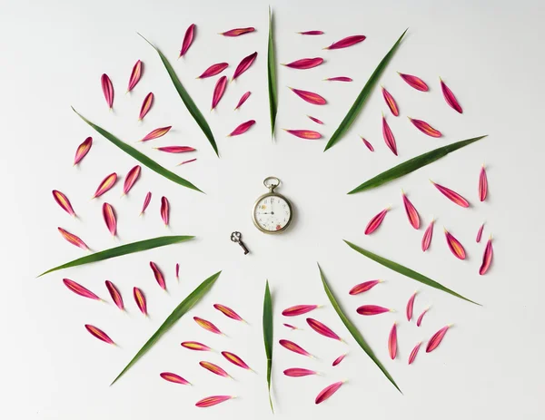 Kreativní přírodní vzor z růžové květy a listy. — Stock fotografie