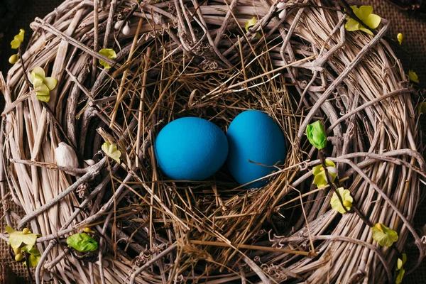 Blue Easter eggs in bird nest — Stock Photo, Image