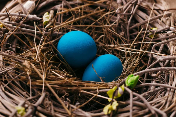 Blue Easter eggs in bird nest — Stock Photo, Image