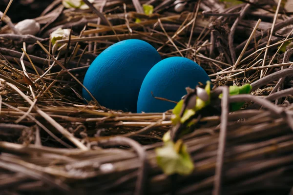 Blue Easter eggs in bird nest — Stock Photo, Image