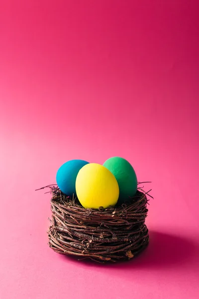 Färgglada påskägg i fågelbo — Stockfoto