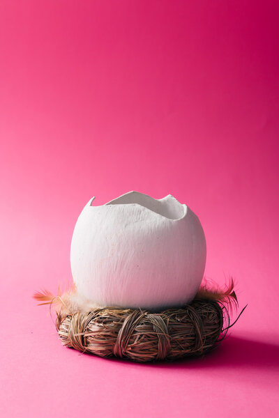 Cracked egg shell on pink background