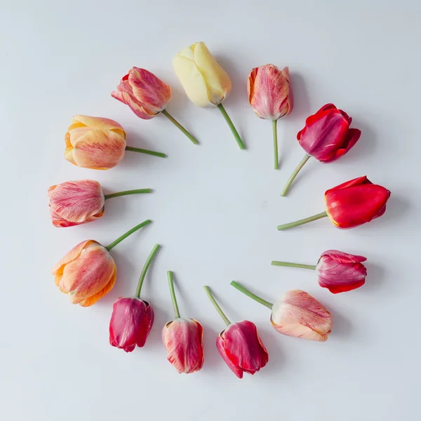 Creative arrangement of tulip flowers.