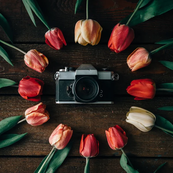 Вінтажна камера з креативним розташуванням тюльпанів на дерев'яній ба — стокове фото