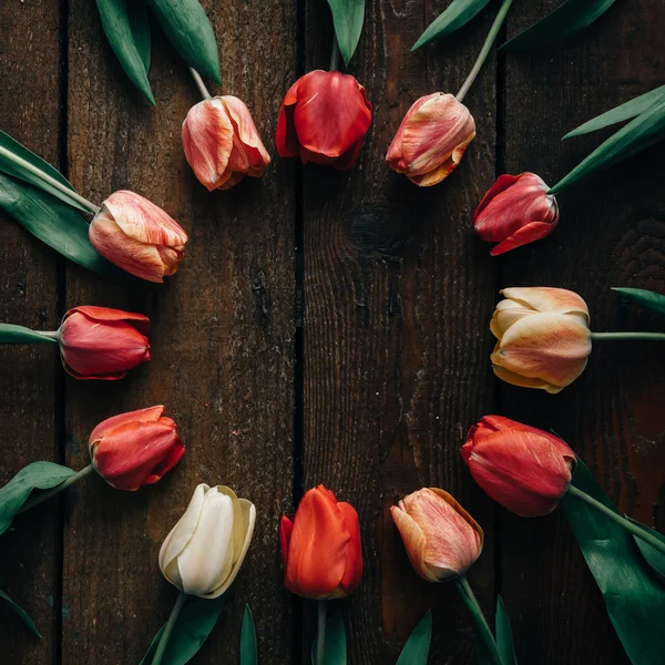 Тюльпани на дерев'яному фоні — стокове фото