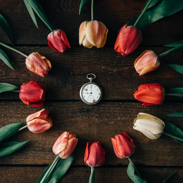 Disposición de tulipanes sobre fondo de madera — Foto de Stock