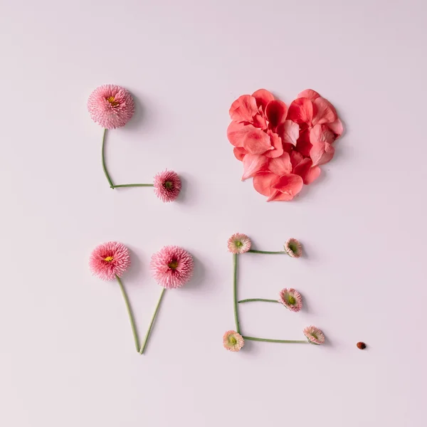 "Love" made of flowers and petals — Stock Photo, Image
