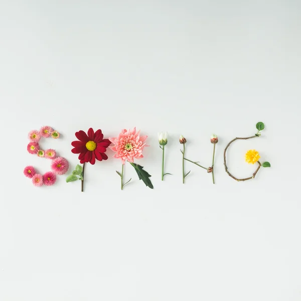 Word "SPRING" made of flowers — Stock Photo, Image