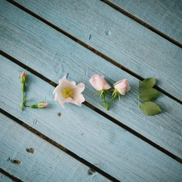 Palabra AMOR hecha de flores blancas —  Fotos de Stock