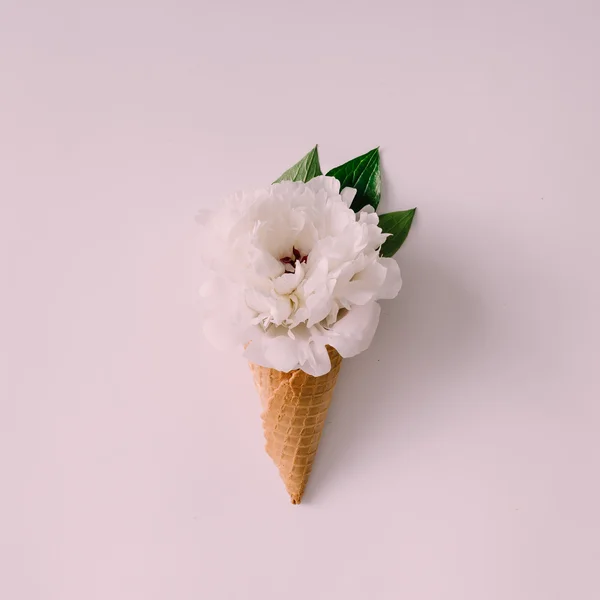Icecream cone with white flower — Stock Photo, Image
