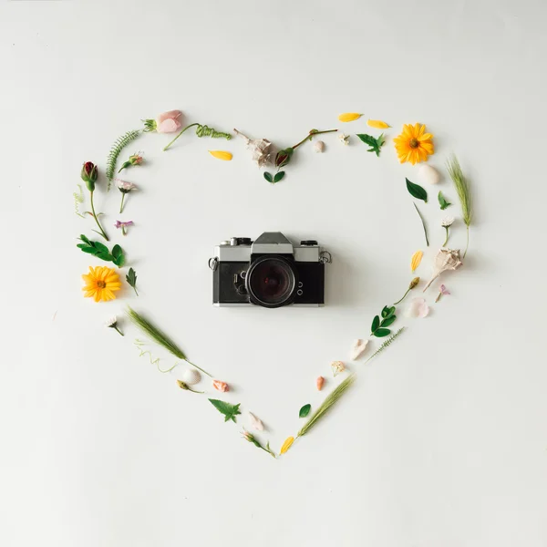 Natural things with vintage camera. — Stock Photo, Image