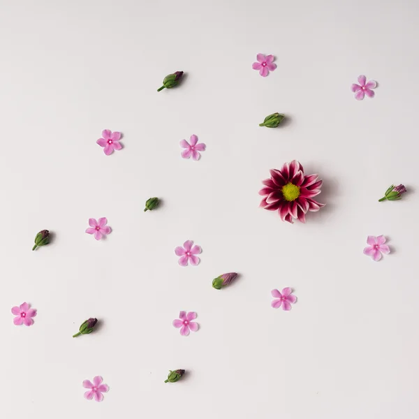 Pink flowers and buds pattern — Stock Photo, Image