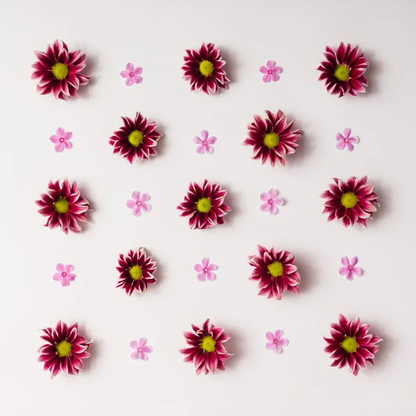Flores pequeñas fotos de stock, imágenes de Flores pequeñas sin royalties |  Depositphotos