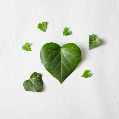 Kağıt üzerinde kalp şeklinde yapraklar. Minimum düz yeşil zemin. Sevgililer Günü ve kadın günü şablonu tasarla.