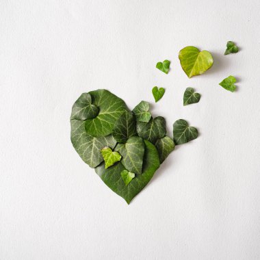 Işık arka planında kalp şeklinde yapraklar. Minimum düz yeşil zemin. Sevgililer Günü ve kadın günü şablonu tasarla.