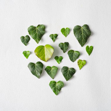 Işık arka planında kalp şeklinde yapraklar. Minimum düz yeşil zemin. Sevgililer Günü ve kadın günü şablonu tasarla.