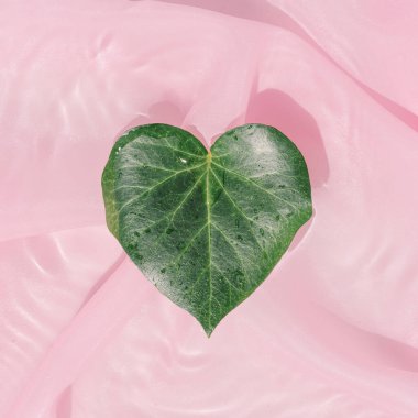 Kalp şeklinde yaprak ve pembe ipek kumaş. Asgari yaratıcı Sevgililer Günü ve kadın günü konsepti. Doğa yassı.