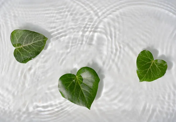 Feuilles Forme Coeur Dans Eau Avec Tissu Soie Minimal Créatif — Photo