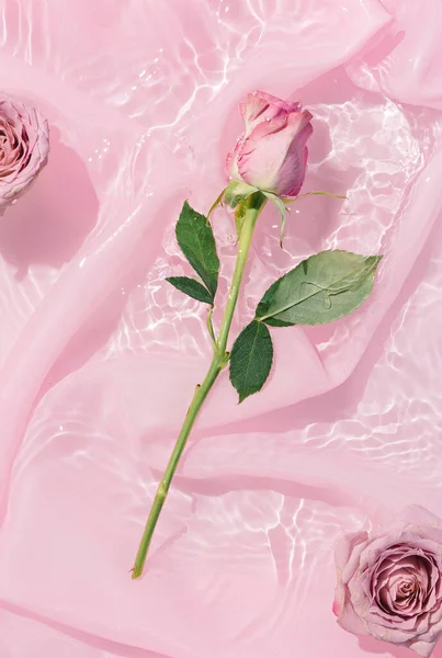 Różowe Kwiaty Róży Wodzie Jedwabiu Tkaniny Walentynki Kobieta Dzień Projektowania — Zdjęcie stockowe
