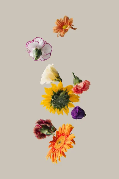 Kreatives Arrangement Mit Verschiedenen Frühlingsblumen Vor Pastellbeigem Hintergrund Minimales Naturkonzept — Stockfoto