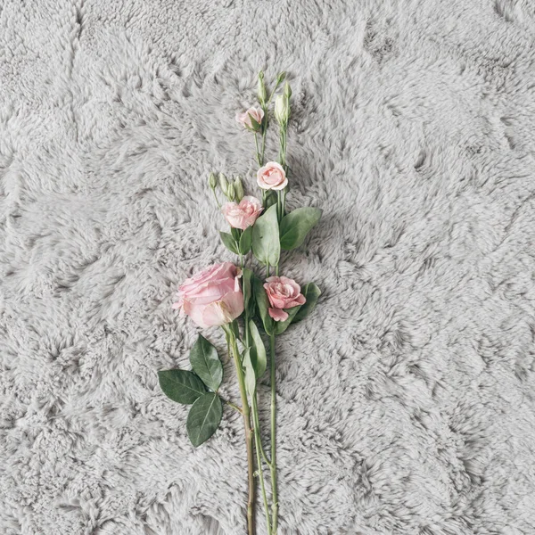 Fond Fourrure Avec Des Fleurs Printemps Été Concept Minimal Amour — Photo