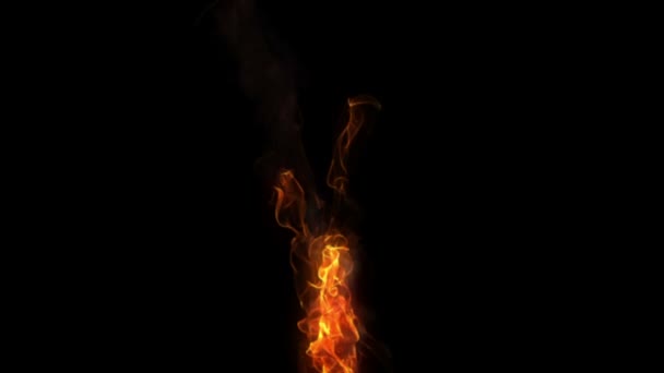 Yangın animasyon video — Stok video