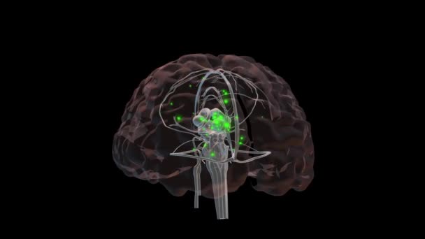 Animação cerebral 3D — Vídeo de Stock