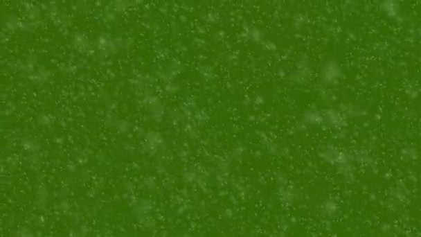 Animacja Opadu Śniegu Wietrznej Pogodzie Zielonym Tle Ekranu Płynna Pętla — Wideo stockowe