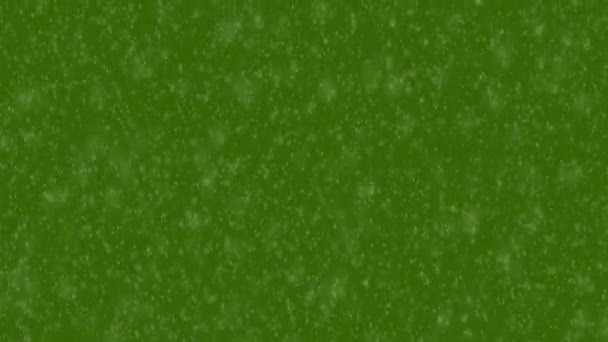 Анімація Снігопаду Фоні Зеленого Екрану Безшовна Петля — стокове відео