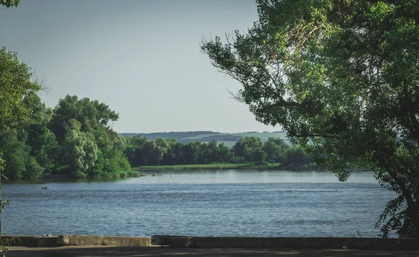 Göl ve orman manzarası