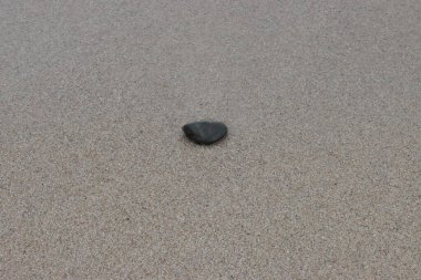 Islak deniz kumsalında siyah taş. 