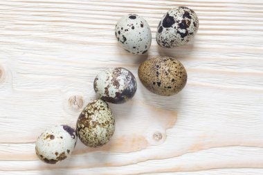 Bıldırcın yumurta altı ağaç üzerinde