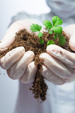 mikrop toprakla holding eldivenli eller